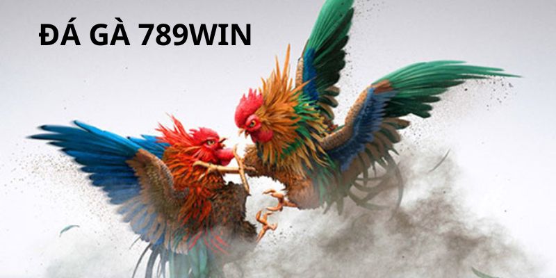 Trải nghiệm các loại hình chọi kê gay cấn nhất tại 789Win